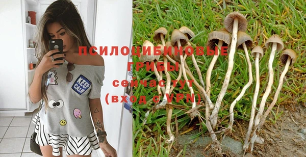 дмт Баксан