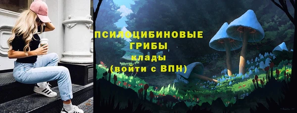 дмт Баксан