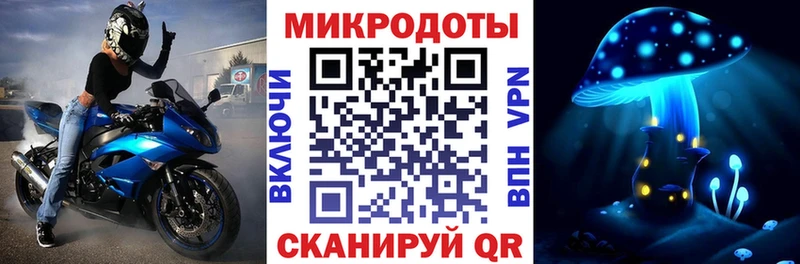 купить наркотики цена  Кувандык  Галлюциногенные грибы Psilocybe 